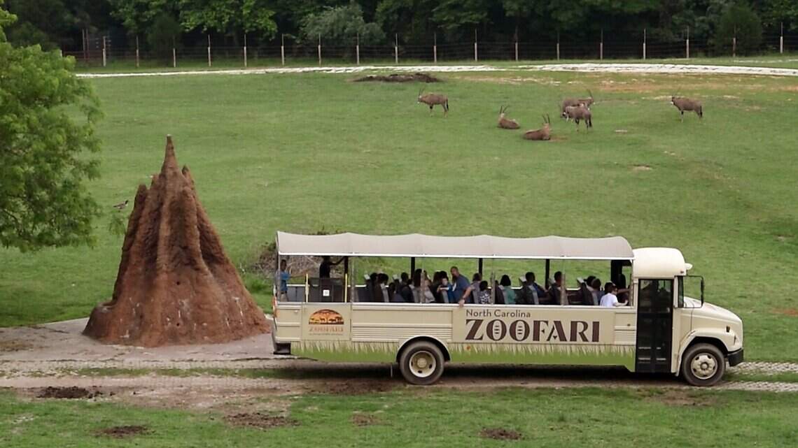 Employee killed at NC Zoo after falling during a training drill