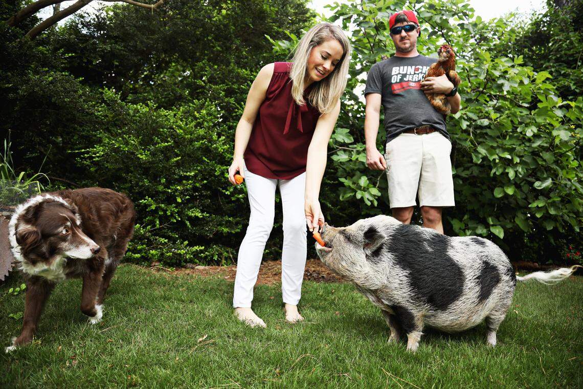 Hamilton resides in Raleigh with his mom and dad, Kyle Eckenrode, right, and fiancee Karoline Briggs; his brother Zé (pronounced Zay), an Australian Shepherd; and eight chickens.
