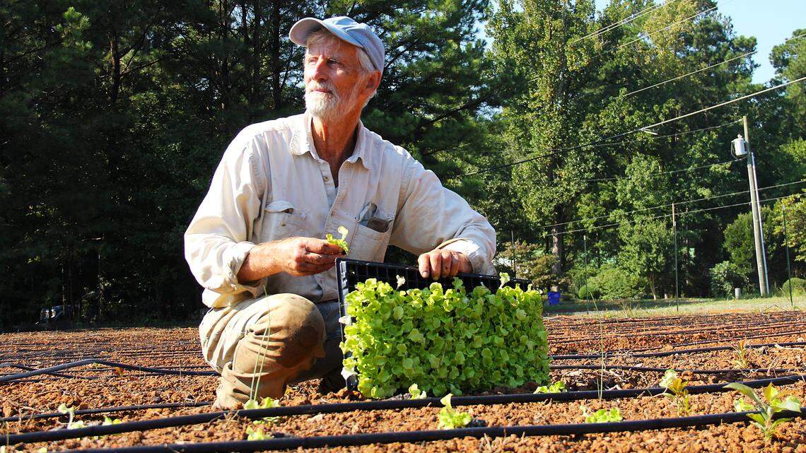 NC farm and nonprofit partner to feed kids, growing fresh produce at a park