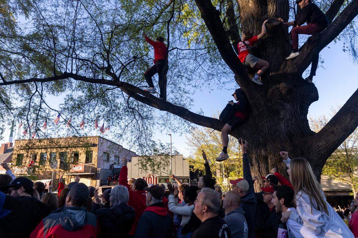 NC State fans watch the Wolfpack play Purdue in the Final Four during a watch party on Hillsborough Street in Raleigh on Saturday, April 6, 2024. Purdue won 63-50.