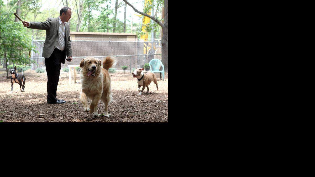 Jeff Glenn takes a break from work to take his Labrador retriever, Biscuit, to the Oakwood Dog Park in Raleigh on Thursday May 16, 2013.