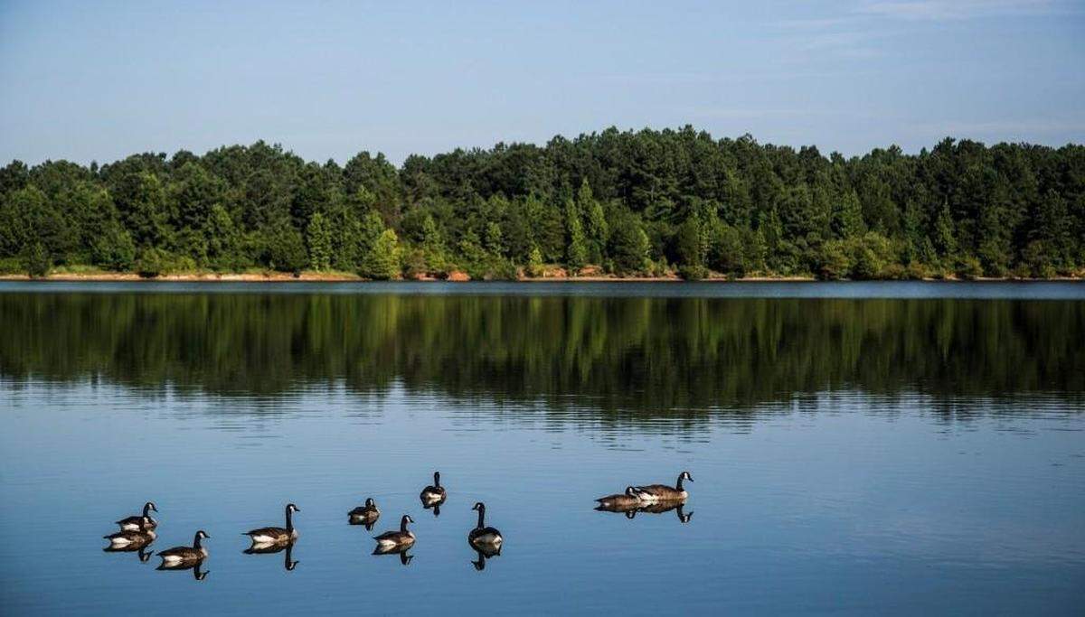 Falls Lake in Raleigh, NC.
