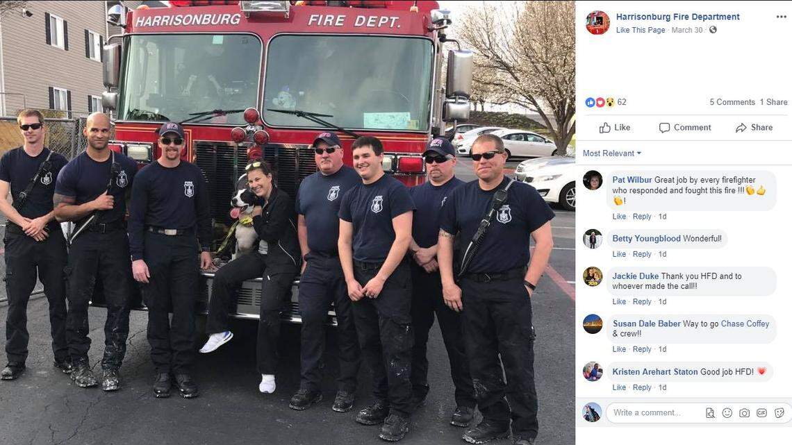 Rebel the dog was found two days after a fire destroyed his owner’s apartment building, according to firefighters in Harrisonburg, Virginia.