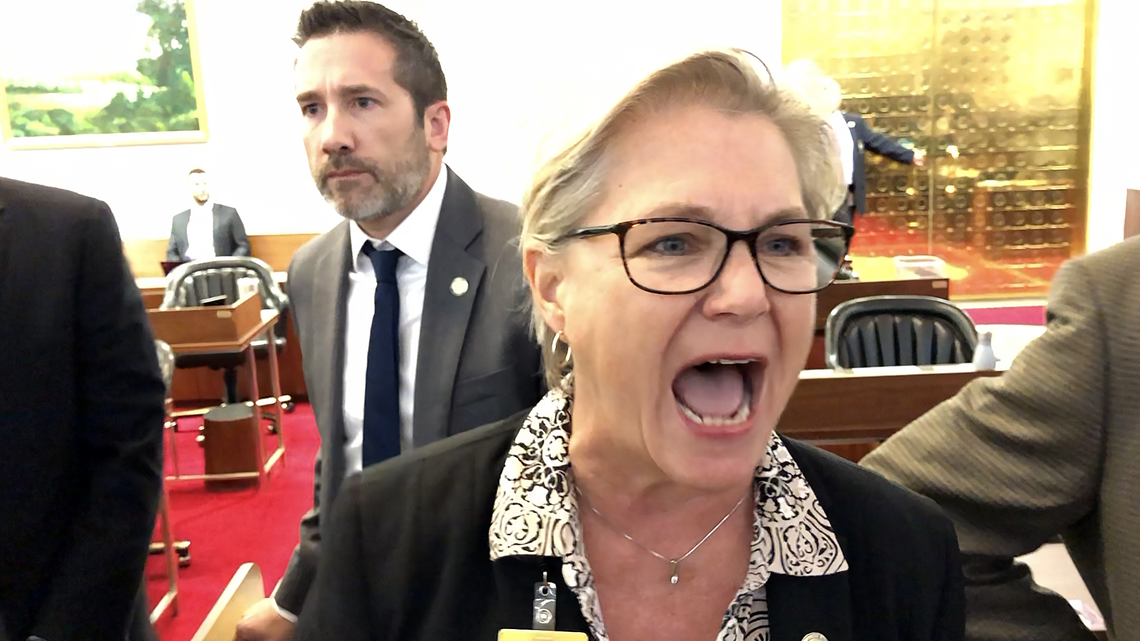 Democrats react angrily in NC legislature over budget veto override ...