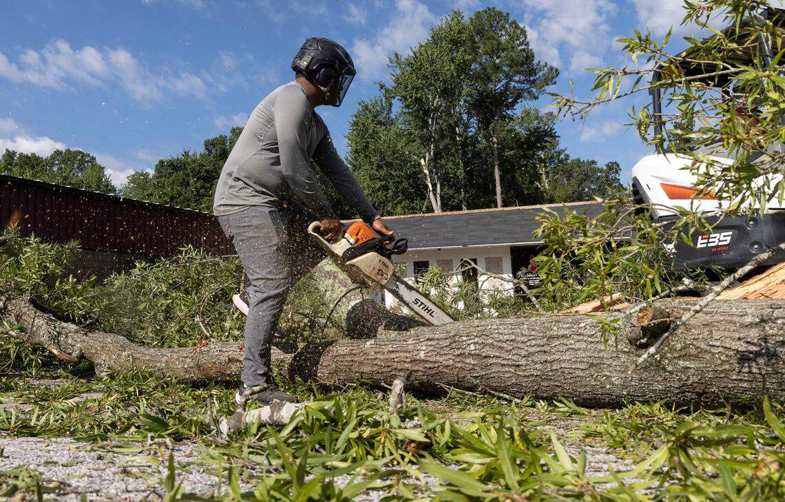 William Guerra works to remove a downed tree near Guess Road on Wednesday, August 16, 2023, following strong storms in Durham, N.C. on Tuesday evening.