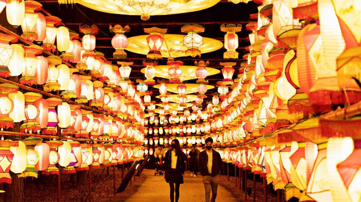 The entrance to the Chinese Lantern Festival at Koka Booth Amphitheatre in Cary on Wednesday evening, Dec. 22, 2021.