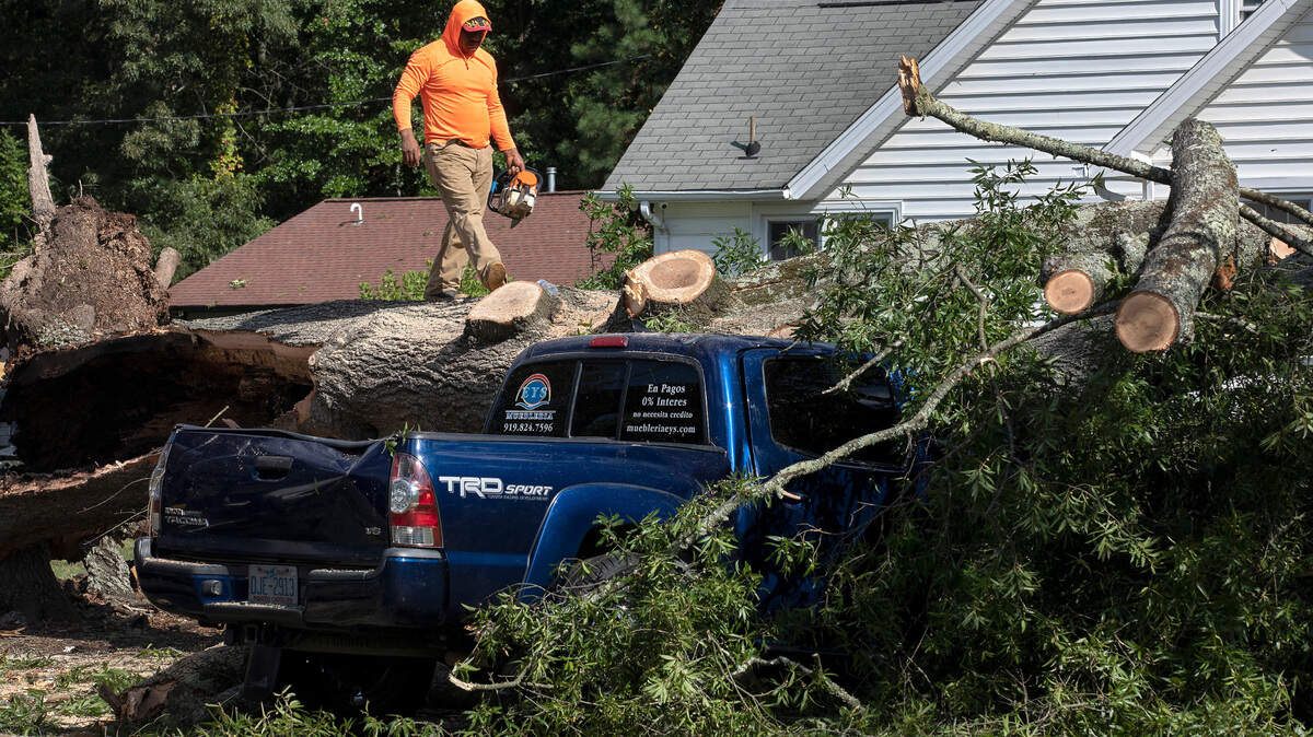 Crews work to remove a downed tree near Guess Road Wednesday, August 16, 2023, following Tuesday evening’s strong storms in Durham, N.C.