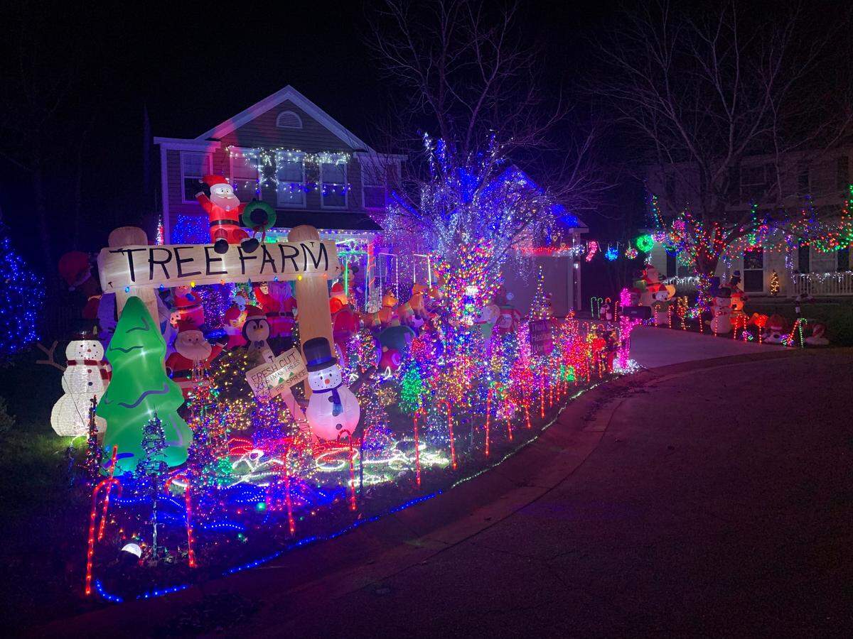 The Lutz family fills their Apex yard with lights, inflatables and even tomato cage Christmas trees.&nbsp; 