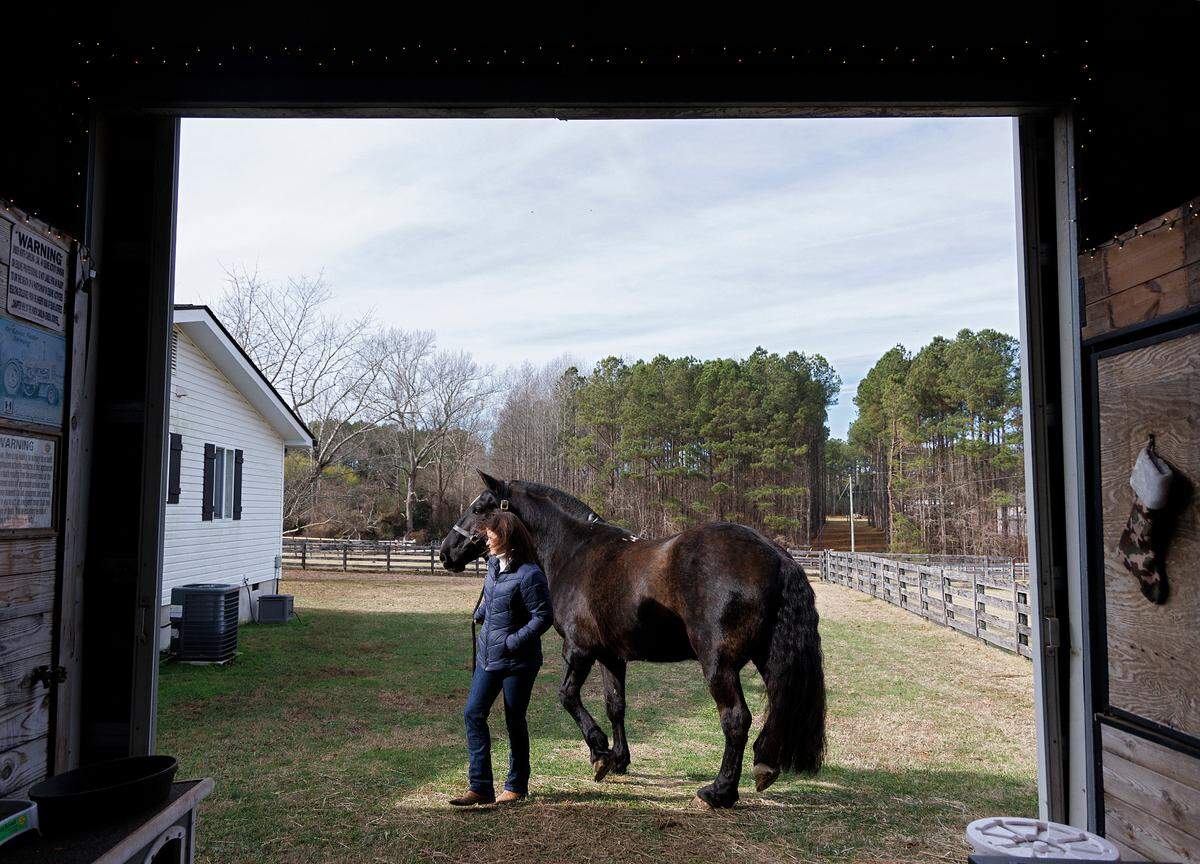 Olivia Turner walks with Klinger, a retired military working equine, at a farm in Zebulon, N.C. on Wednesday, Dec. 13, 2023. Turner adopted Klinger, a horse formerly with the Army caisson platoon, in November.