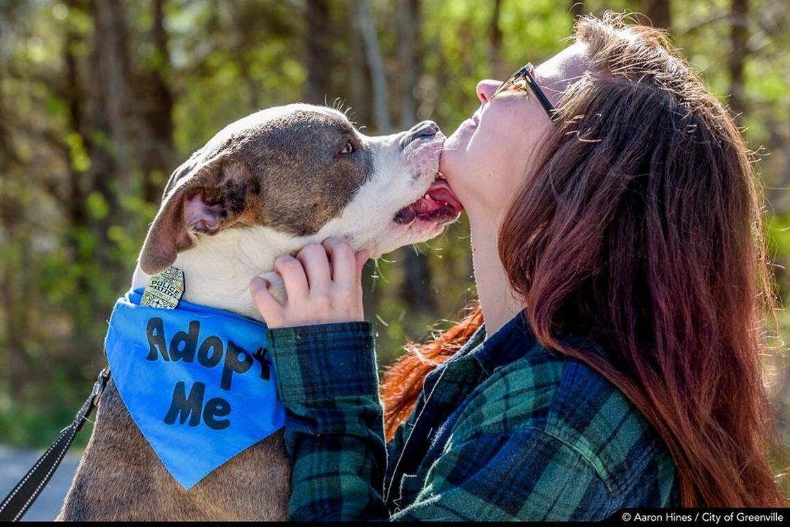 Kelly Morrine Ingalls gets kisses from rescue dog Harvard.