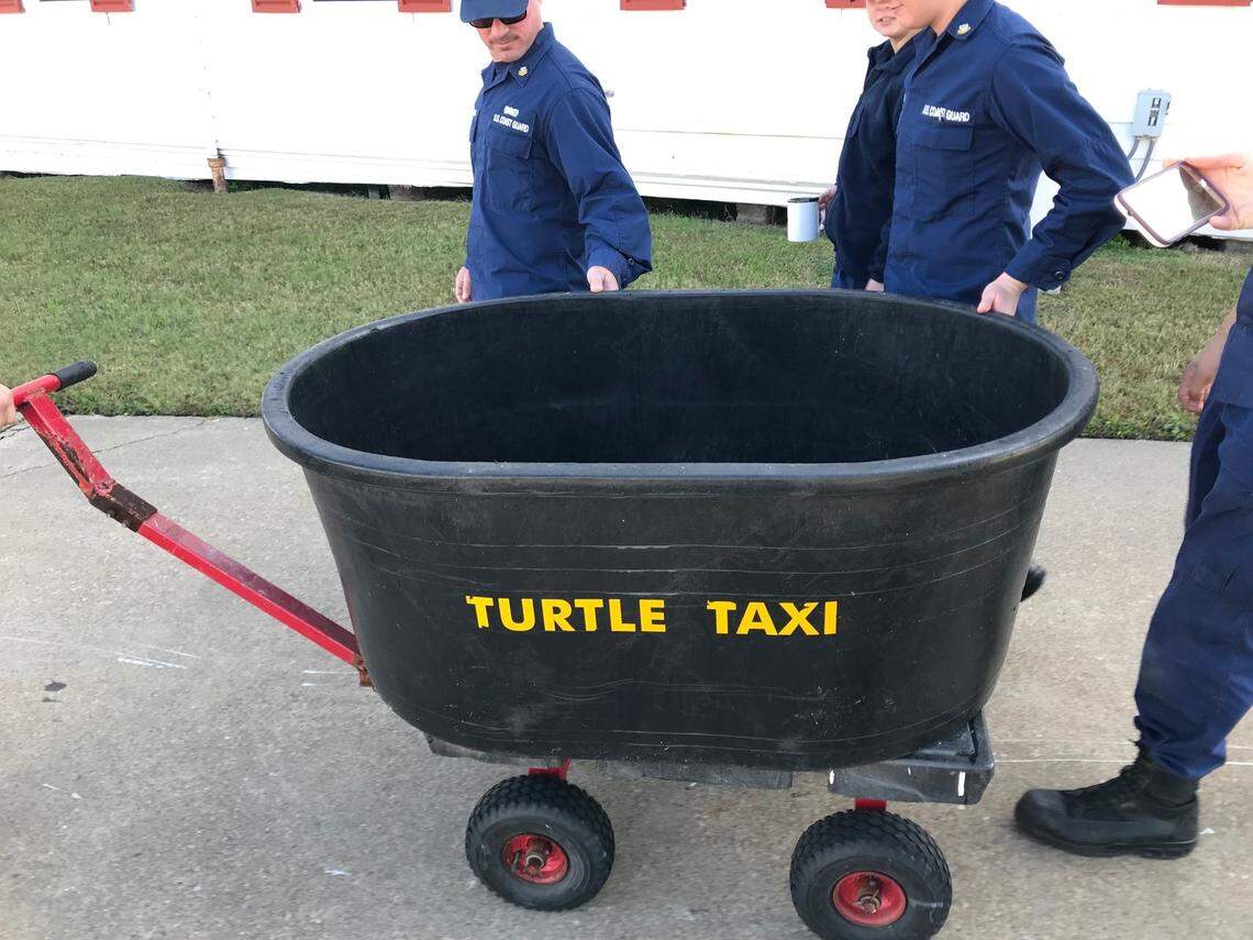 The “turtle taxi” used by conservation groups and the U.S. Coast Guard to transport rehabilitated sea turtles back to the Atlantic Ocean.