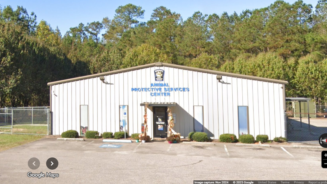 The Columbus County Sheriff’s Office multiple calls about a “woman going door-to-door claiming to be from Animal Control and threatening to shoot animals,” officials said.