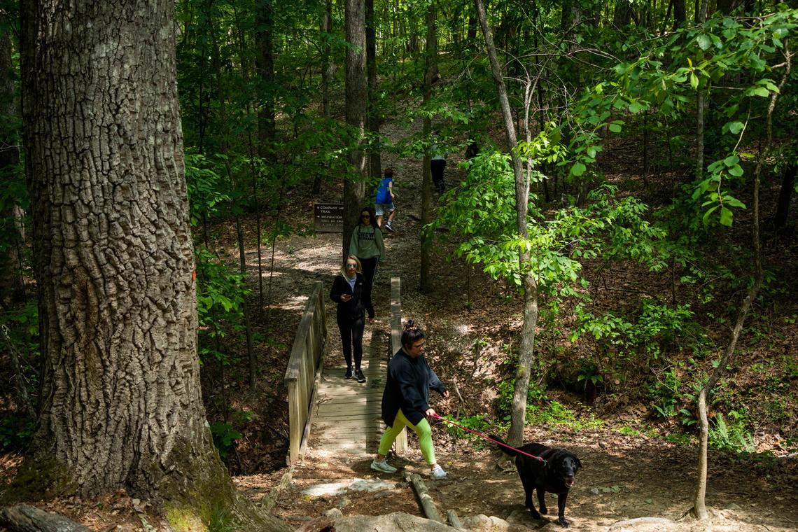 Hikers make their way back up to the parking lot at the Reedy Creek entrance of William B. Umstead State Park fills up hours after it opened under phase 1 of Gov. Roy CooperÕs reopening of the state during the novel coronavirus pandemic, on Saturday, May 9, 2020, in Raleigh, N.C.