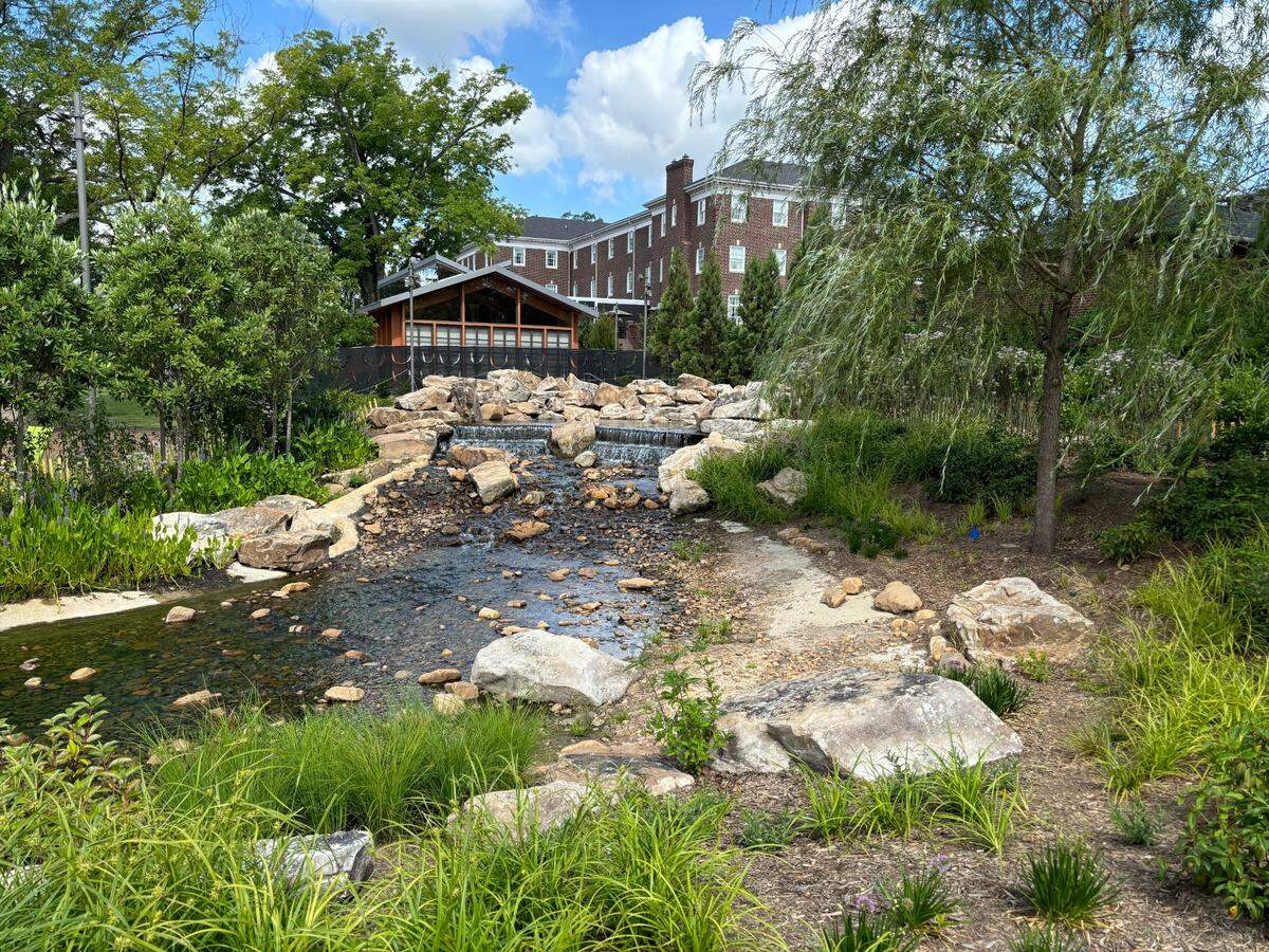 Downtown Cary Park on June 21, 2024.  