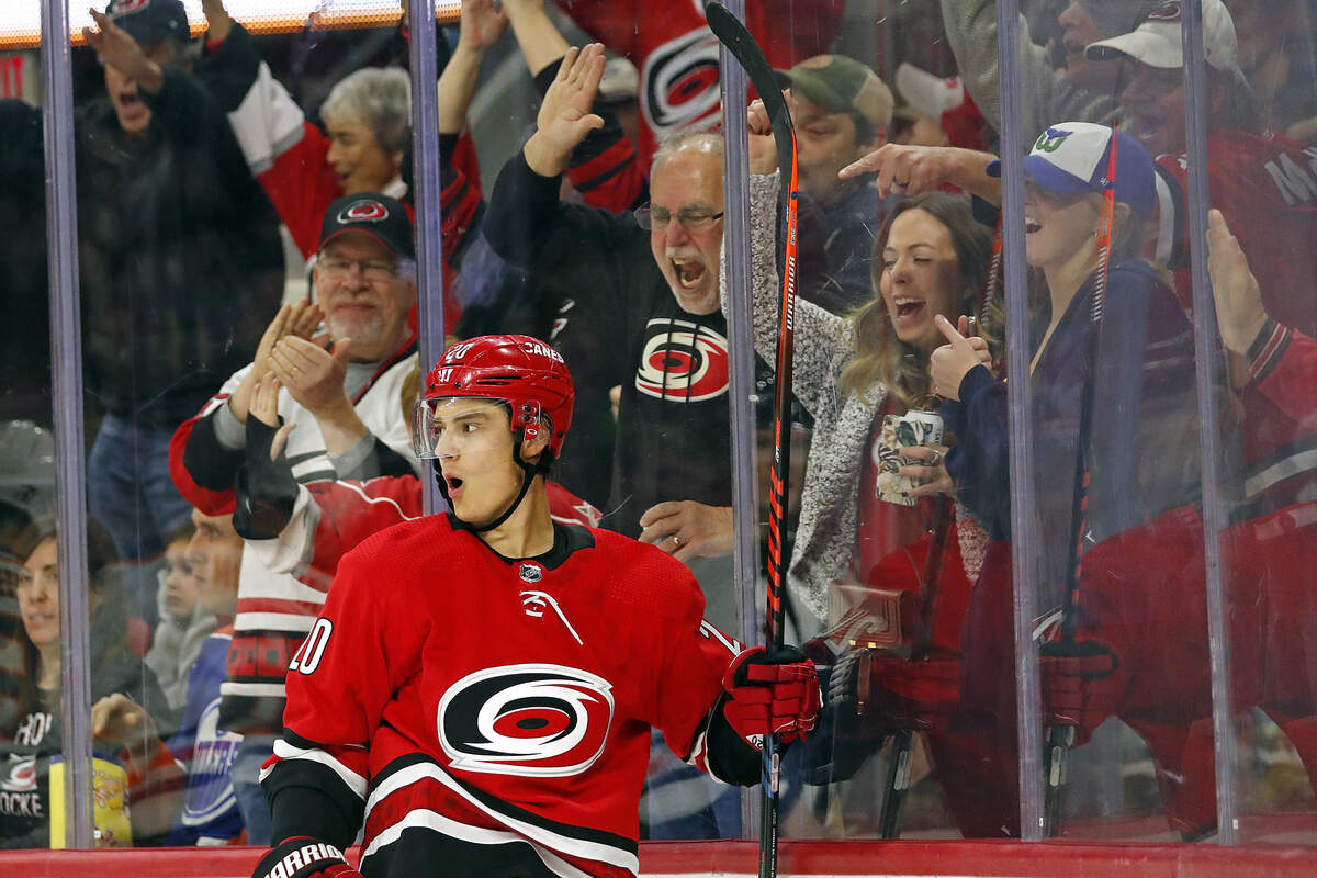 Carolina Hurricanes’ Sebastian Aho (20), of Finland, celebrates his goal against the Edmonton Oilers during the second period of an NHL hockey game in Raleigh, N.C., Sunday, Feb. 16, 2020. (AP Photo/Karl B DeBlaker)