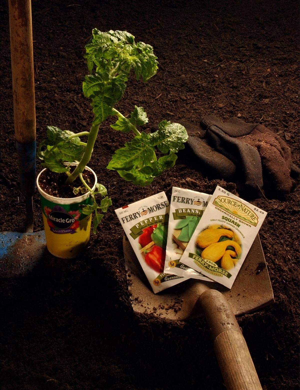 KRT LIFESTYLE STORY SLUGGED: HOME-PLANTING KRT PHOTOGRAPH BY CHARLES SLATE/MYRTLE BEACH SUN-NEWS (March 20) It’s time to get out the garden tools, seeds and plants and get your garden going for 2003. (smd) 2003