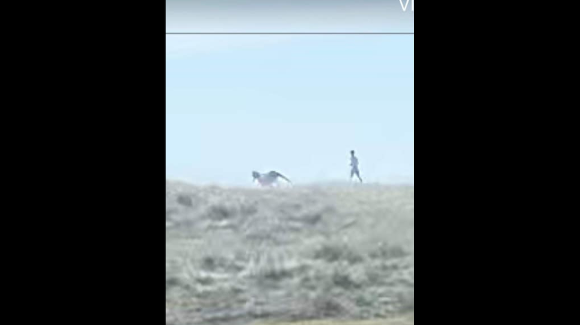 Three Outer Banks tourists are being sought questioning after witnesses reported seeing them chase around a month-old foal and its mother for selfies, according to the National Park Service.