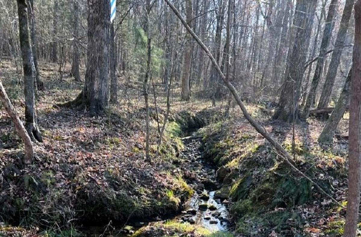 A large swath of a 125-acre farm on Morrow Mill Road, off NC 54 west of Carrboro, NC, is covered in trees, streams and creeks. A developer wants to build housing on 30 acres and preserve another 60 acres. The landowner would keep 35 acres.