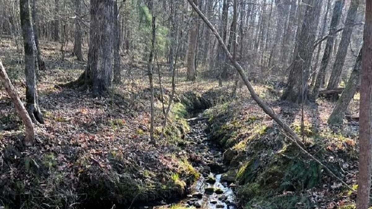 A large swath of a 125-acre farm on Morrow Mill Road, off NC 54 west of Carrboro, NC, is covered in trees, streams and creeks. A developer wants to build housing on 30 acres and preserve another 60 acres. The landowner would keep 35 acres.