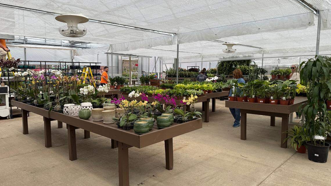Before moving into its new location, Logan’s Garden Shop had to renovate the old greenhouses on site.