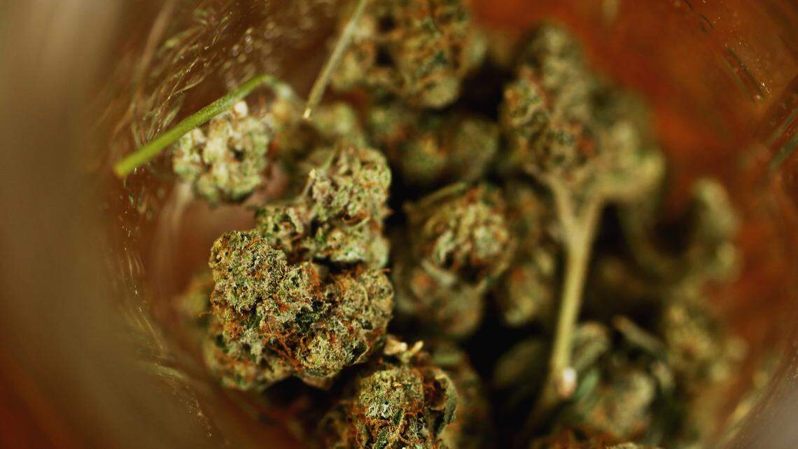 New $30 million CBD facility in Hampton County plans to add 107 jobs. Here are details