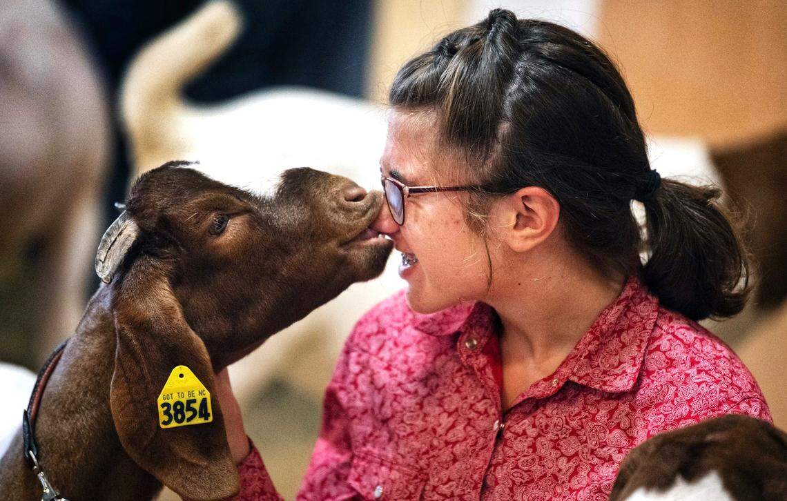 Elise Overton, 15, of Apex, N.C. gets a nibble on her nose from her goat “Kit” before the Junior goat competition at the NC State Fair in 2023.