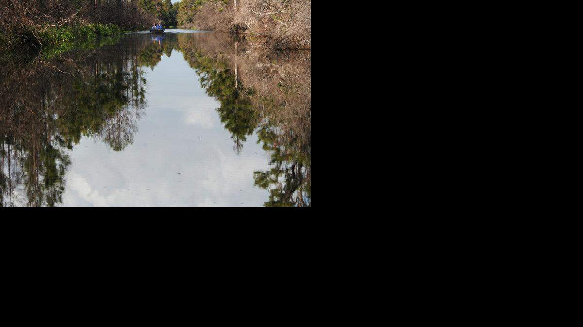 OKEFENOKEE302