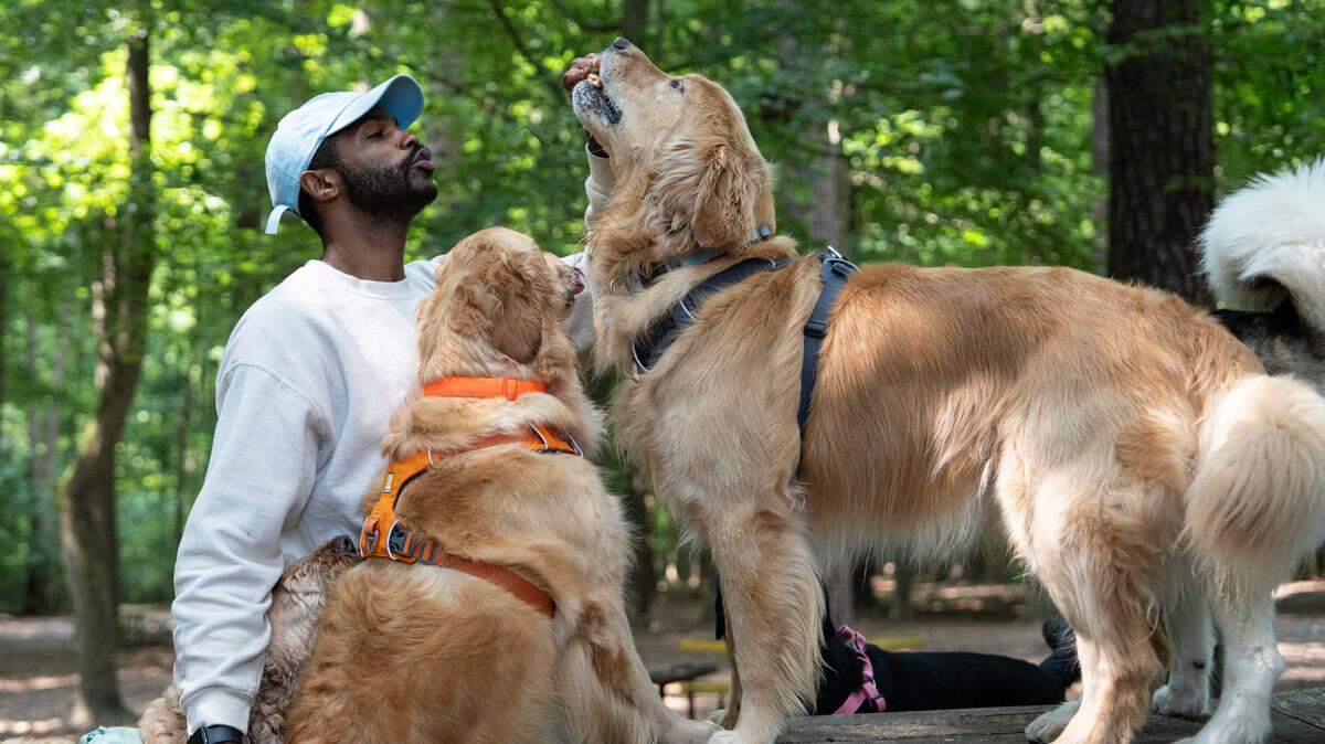 Baden Jaxen, founder and CEO of the Pup Park Shuttle, stands at the gate of Raleigh Carolina Pines Park on Wednesday, June 4, 2025. A retired basketball player, he says, “I was able to convert all my tenacity from basketball into entrepreneurship.” He started the business in November of 2024 and plans to unveil another Pup Park Shuttle in Chapel Hill this August.