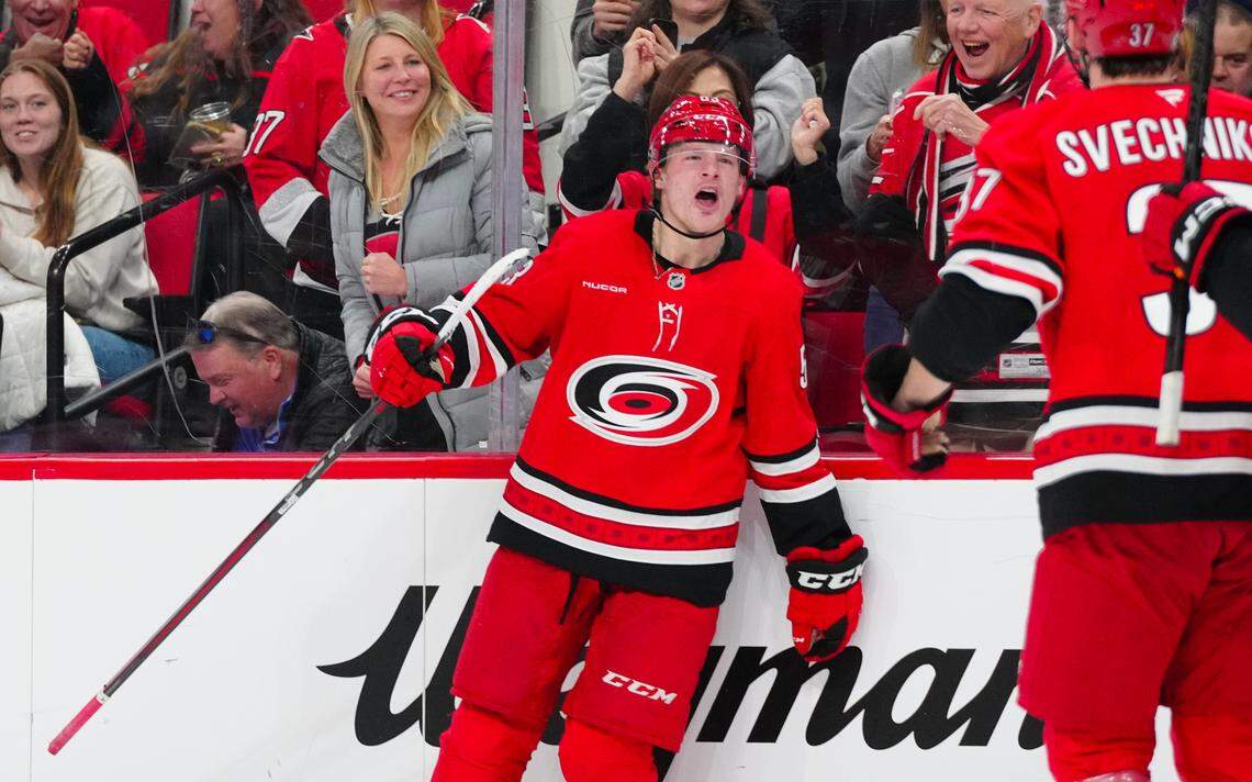 Jan 17, 2025; Raleigh, North Carolina, USA; Carolina Hurricanes right wing Jackson Blake (53) celebrates his goal against the Vegas Golden Knights during the third period at Lenovo Center. James Guillory-Imagn Images
