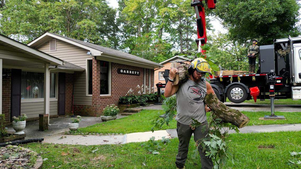 A Treeist crew member carries a branch trimmed on the job site to a staging location. The company hopes to expand its workforce once a new headquarters is built off Millhouse Road in Chapel Hill.