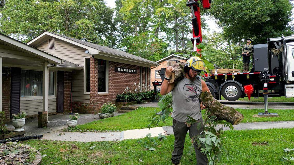 A Treeist crew member carries logs trimmed on the job site to a staging location. The company hopes to expand its workforce once a new headquarters is built off Millhouse Road in Chapel Hill.