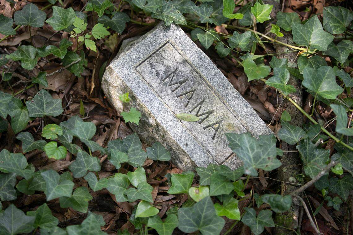 A grave marker for ‘Mama’ is surrounded by ivy in the Wilkins Cemetery, one of the oldest African-American cemeteries in Harnett County on Wednesday, August 24, 2022 in Dunn, N.C.