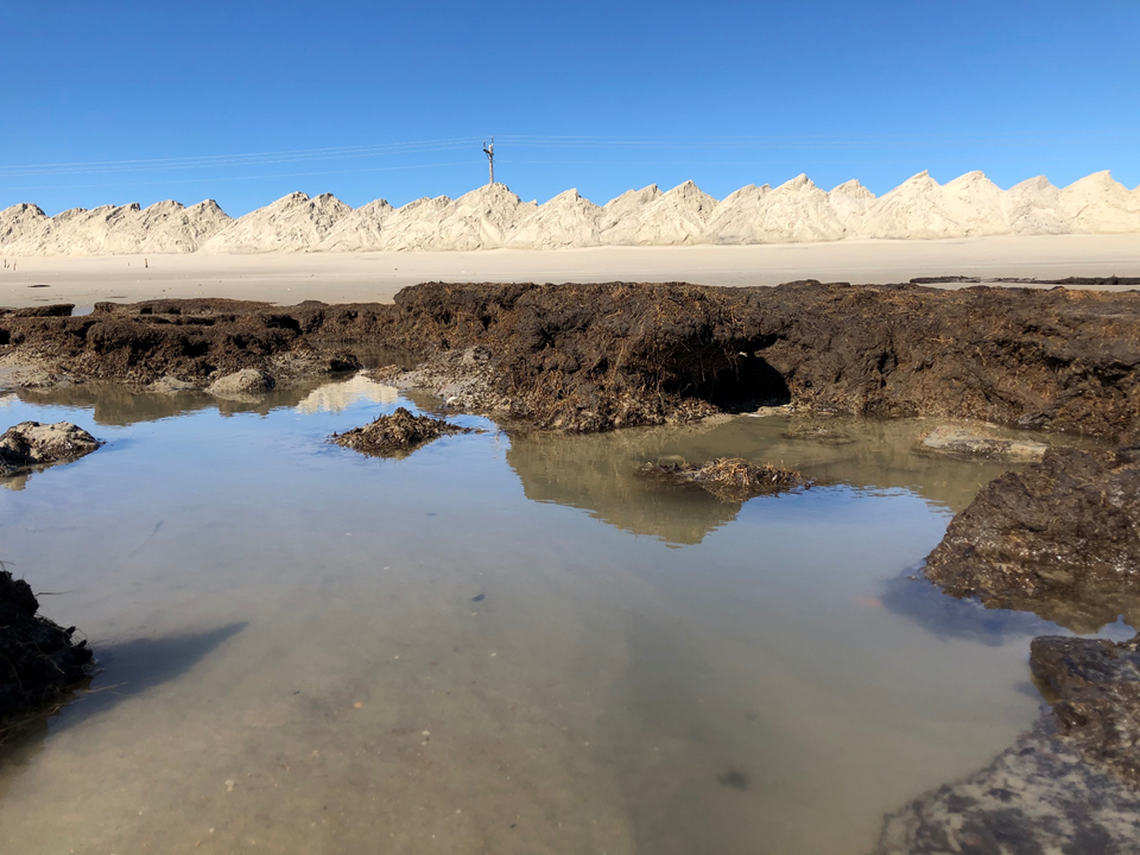 This photo shows “extensive historic marsh peats” that were uncovered last year on the north end of Ocracoke Island by Hurricane Dorian, Tropical Storm Melissa, and an un-named norester during fall 2019. N.C. Highway 12 is in the background.
