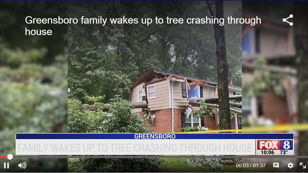 A tree crashed into a North Carolina family’s home, pictures show.