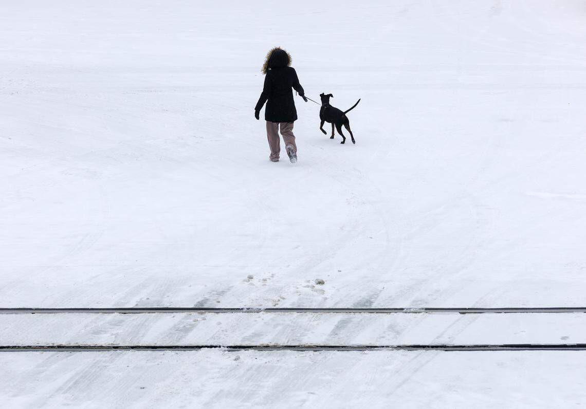 A person walks with a dog along an icy street in downtown Durham on Sunday, January 25, 2026.