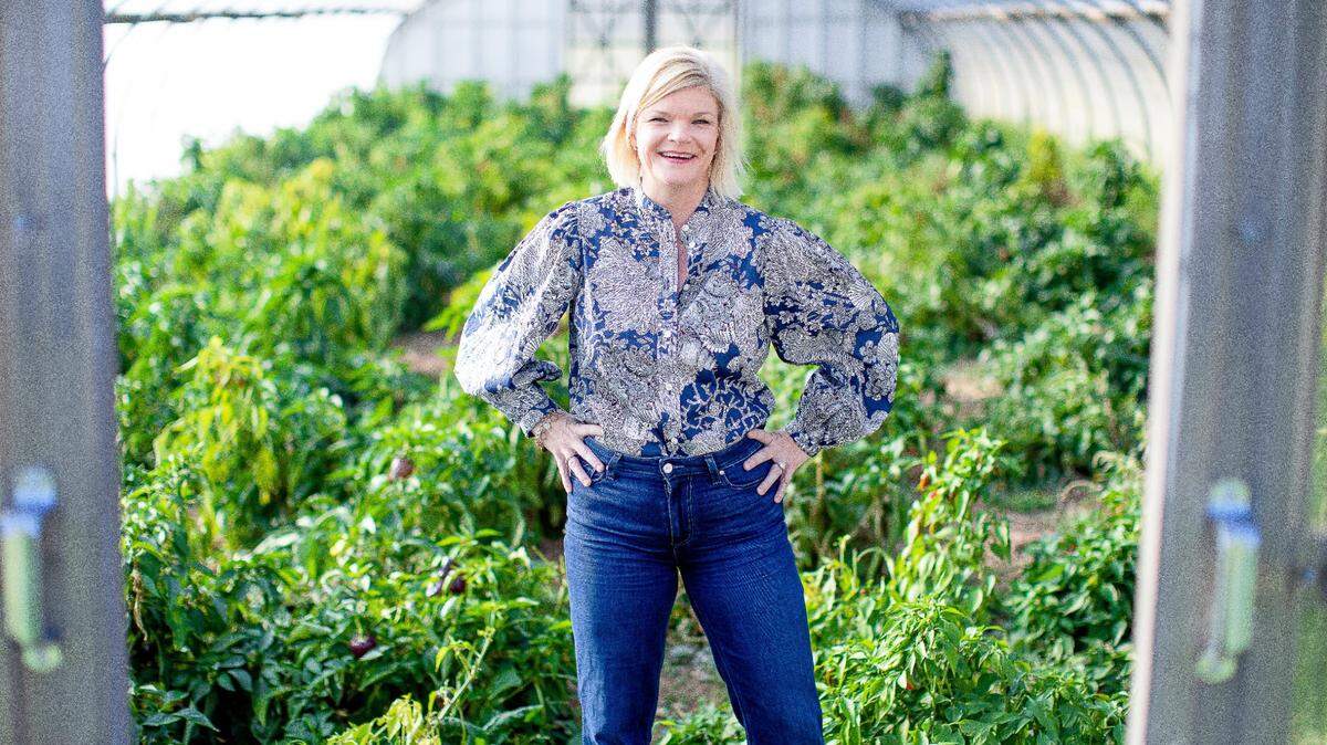 Jamie DeMent Holcomb is a Democratic candidate in North Carolina State Senate District 23 in Orange County.