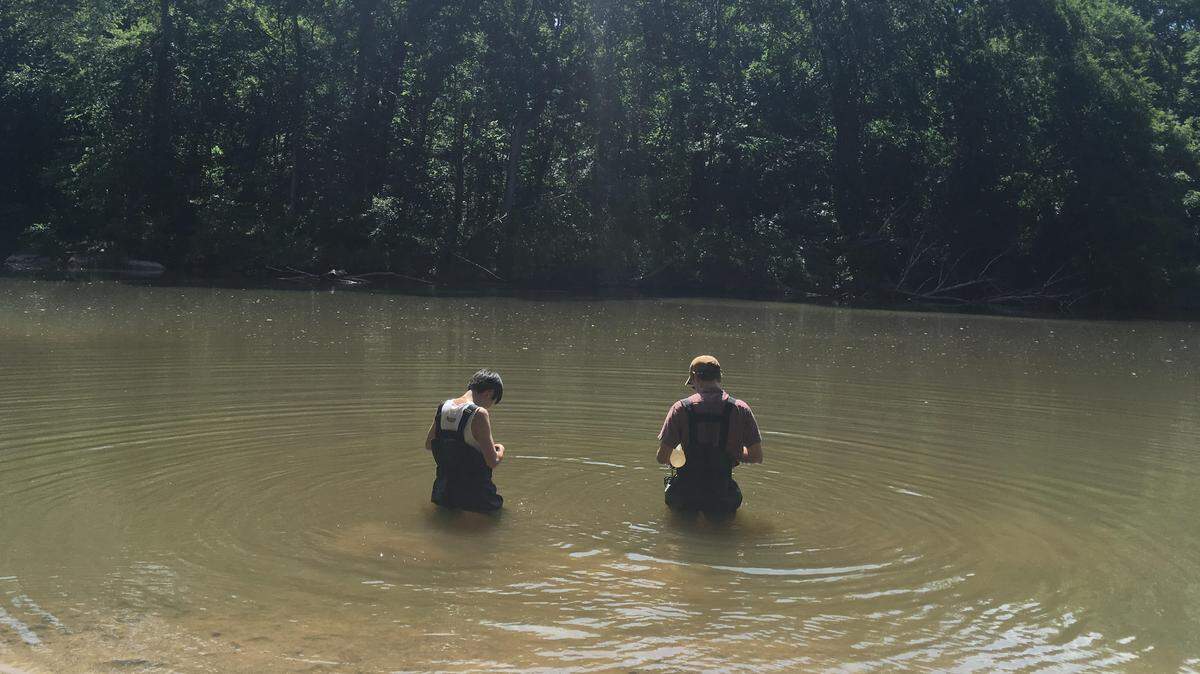 Duke researchers Amy Yoon and George Tait collect water samples in the Haw River in July 2019. They collect samples from 12 spots to test for PFAS contamination. (File photo)