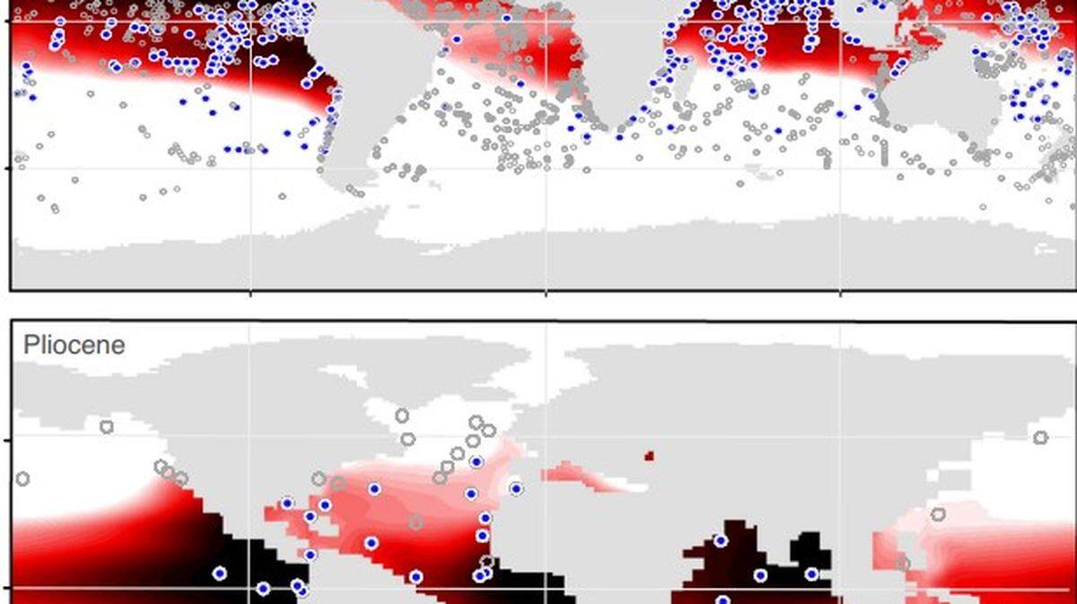 A N.C. State University study used fossilized plankton and computer modeling to determine where the ocean had low oxygen levels during a warm period millions of years ago compared to now. It found that so-called “dead zones” were expanded in the North Atlantic, while the North Pacific had fewer of the areas.