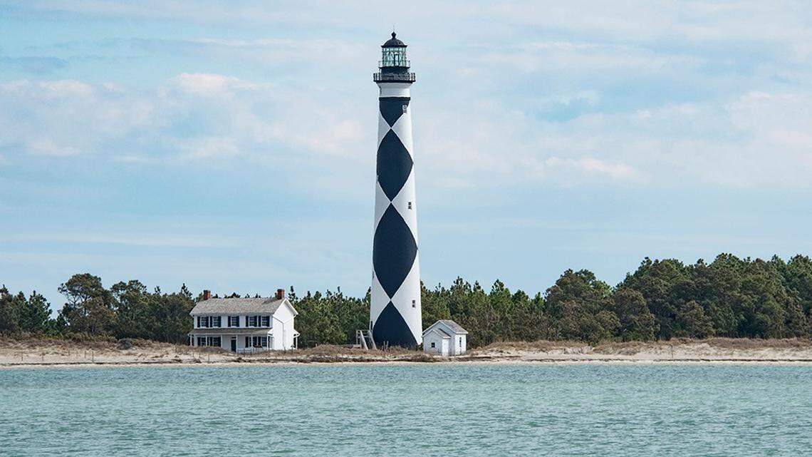 A uniquely colored Florida Fighting Conch was found Aug. 21 on a Shackleford Banks beach in North Carolina. It was all white.