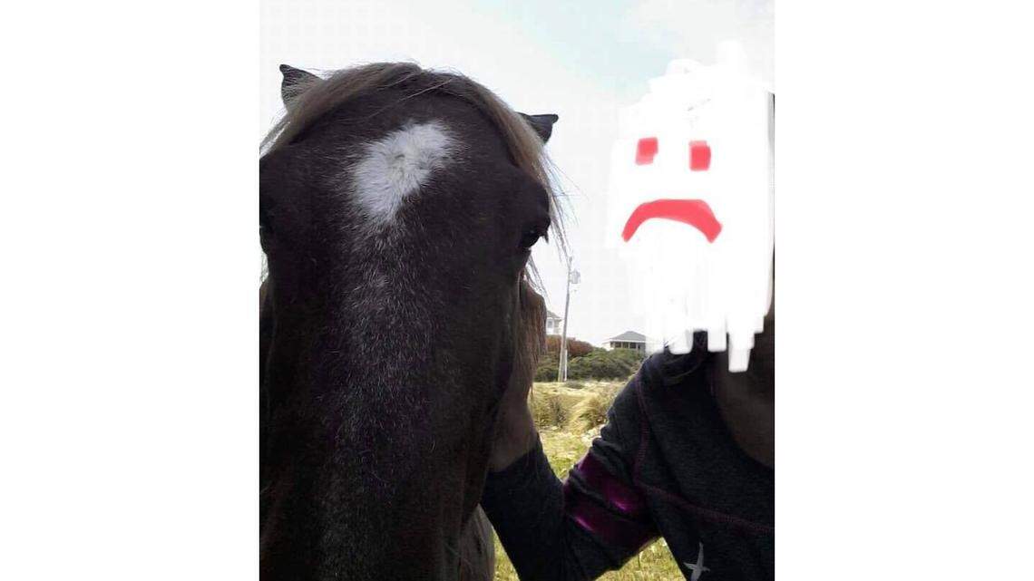 A selfie taken with one of the Corolla wild mustangs, Chili Pepper. The Corolla Wild Horse Fund censored the person’s face.