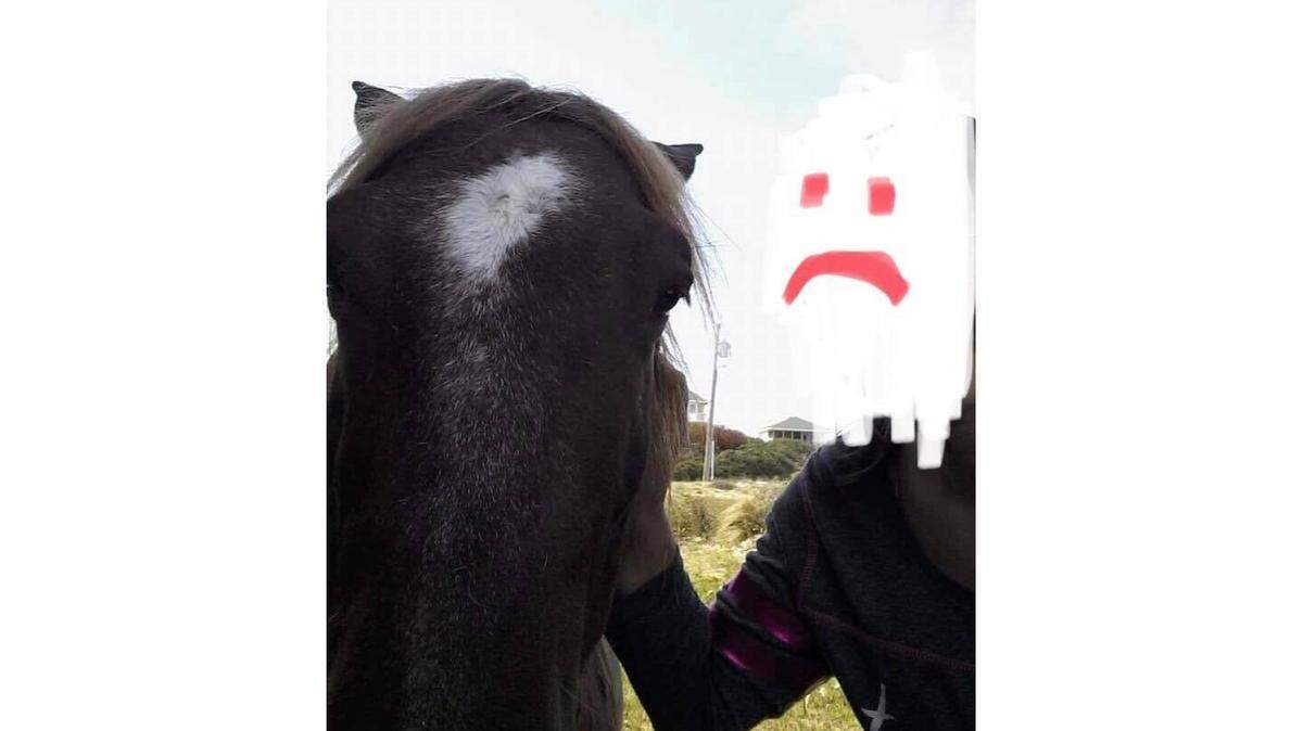 A selfie taken with one of the Corolla wild mustangs, Chili Pepper. The Corolla Wild Horse Fund censored the person’s face.
