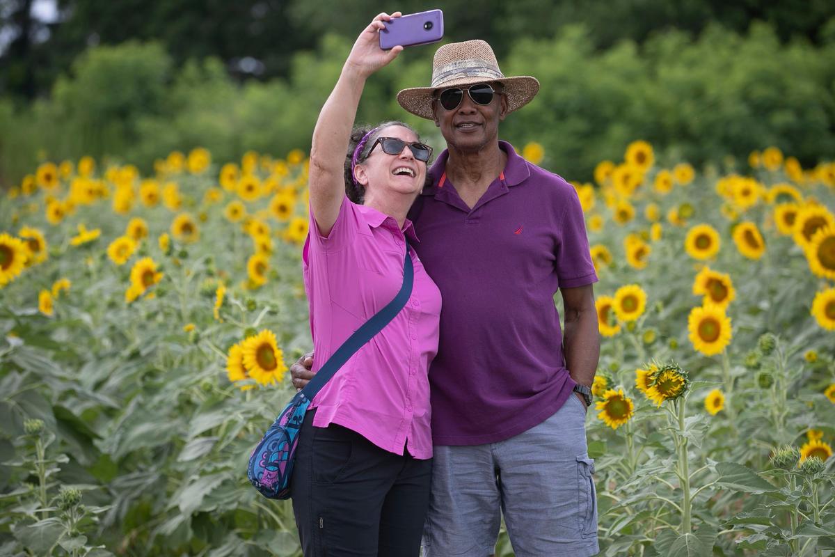 Debra and Calvin Walker of Wake Forest, N.C. celebrate their 17th anniversary with a selfie in the sunflower field at Dix Park on Tuesday, July 9, 2019 in Raleigh, N.C.