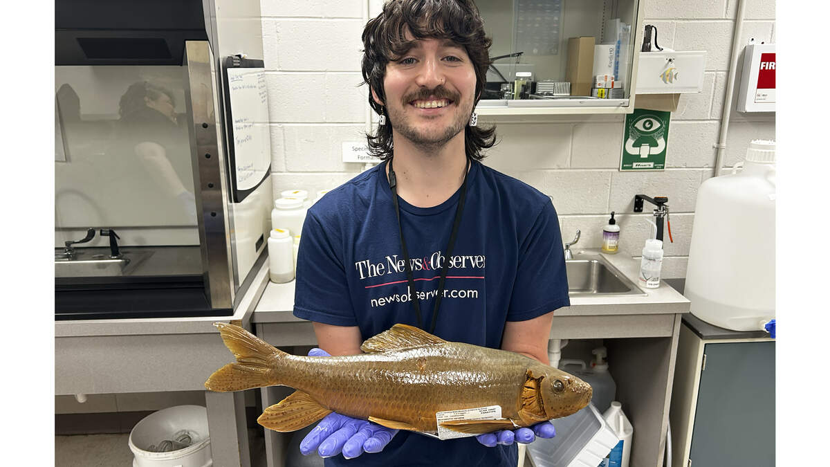 News & Observer science reporter Luke Bowles holds the newly described Carolina redhorse at the aquatic collections facility of the N.C. Museum of Natural Sciences.