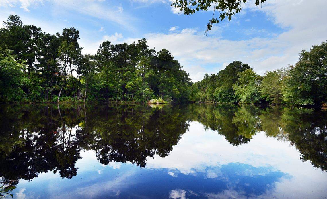 Triangle Land Conservancy preserves natural spaces and connects people with nature in our developing region, including the 409-acre Walnut Hill Farm property, which will be reserved as open space and eventual a public amenity.