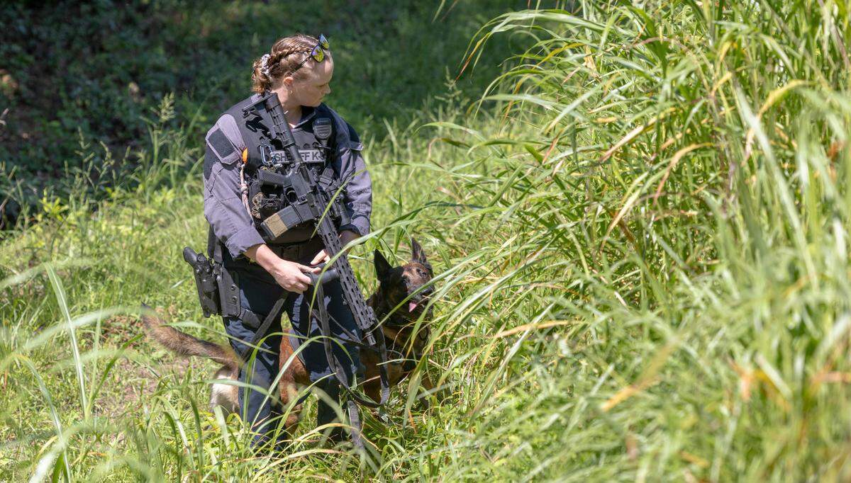 An Alamance County Sheriff’s K-9 Deputy searches for escaped inmate Ramone Alston on Wednesday morning August 14, 2024 in Hillsborough, N.C. Alston, who was serving a life sentence for second degree murder, escaped on Tuesday morning at UNC Hospitals in Hillsborough as he was being transported from Bertie Correctional Institute to Hillsborough.