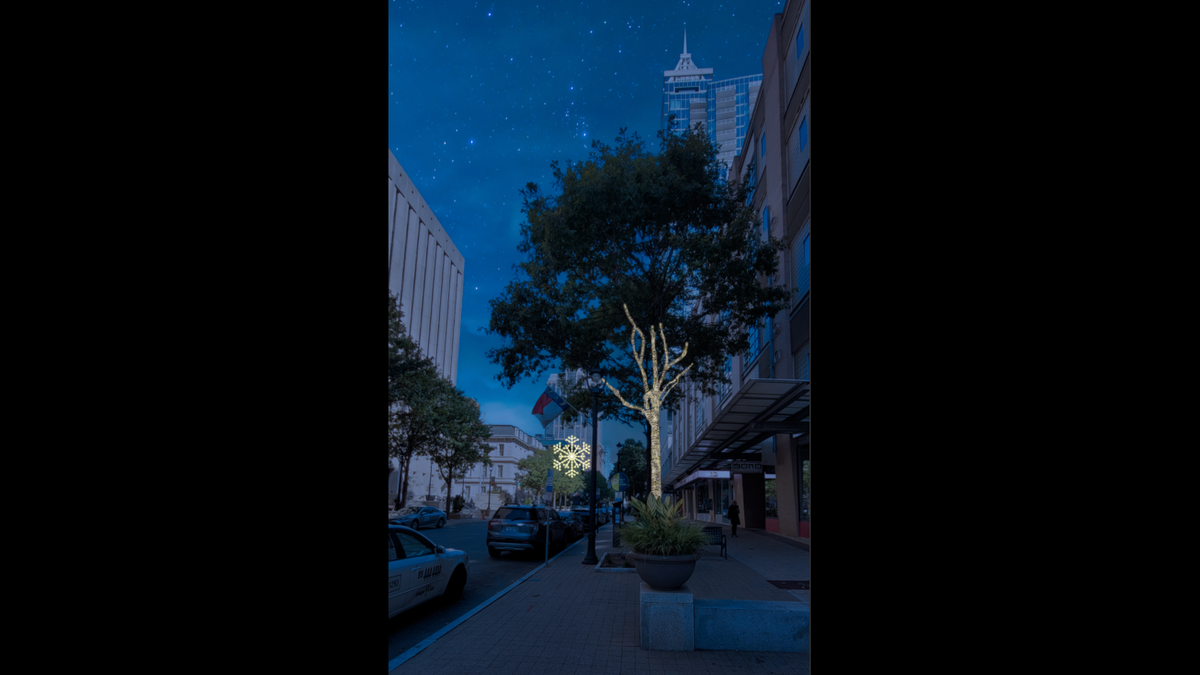 A rendering of what the lights will look like on the trees along Fayetteville Street