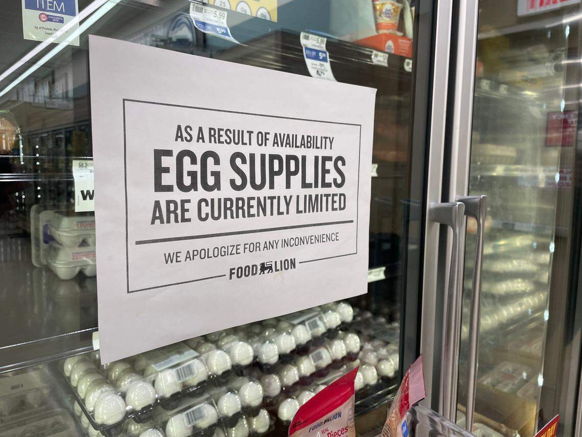 A sign alerts shoppers of a disruption in egg supplies at a Food Lion grocery store in Raleigh, NC, on January 26, 2025.