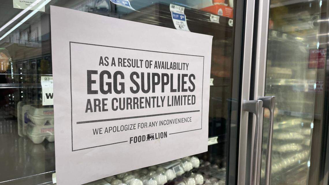 Are eggs and poultry products in Georgia safe to eat amid the spread of bird flu?