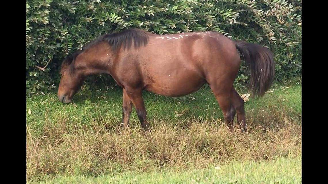 The strange markings change shape over time, observers say.