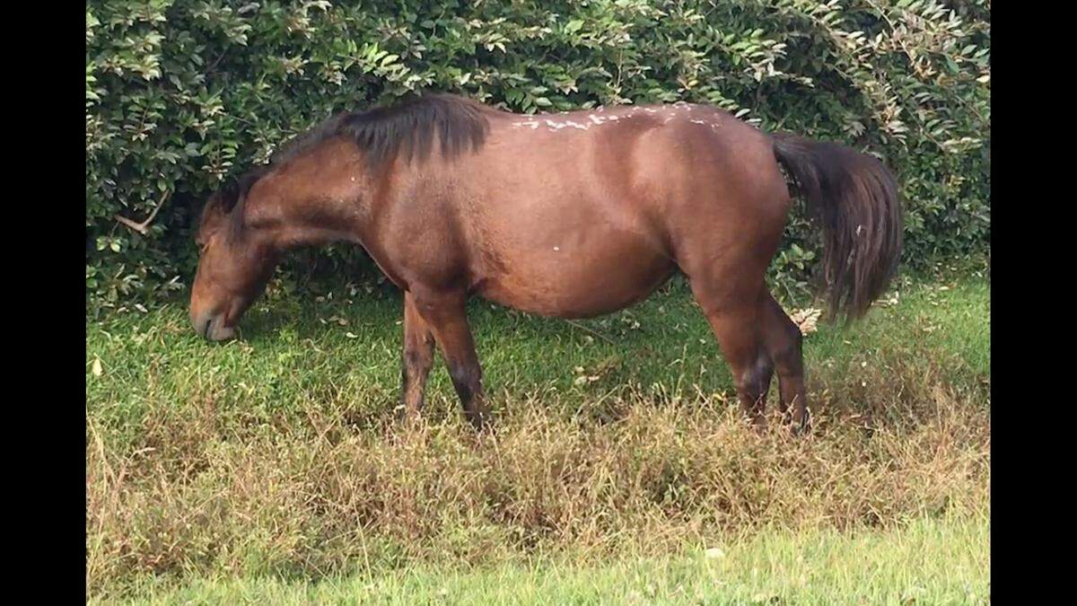 The strange markings change shape over time, observers say.